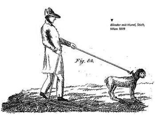 遠從古代，在盲人與狗之間，就已經存在著緊密的關係。